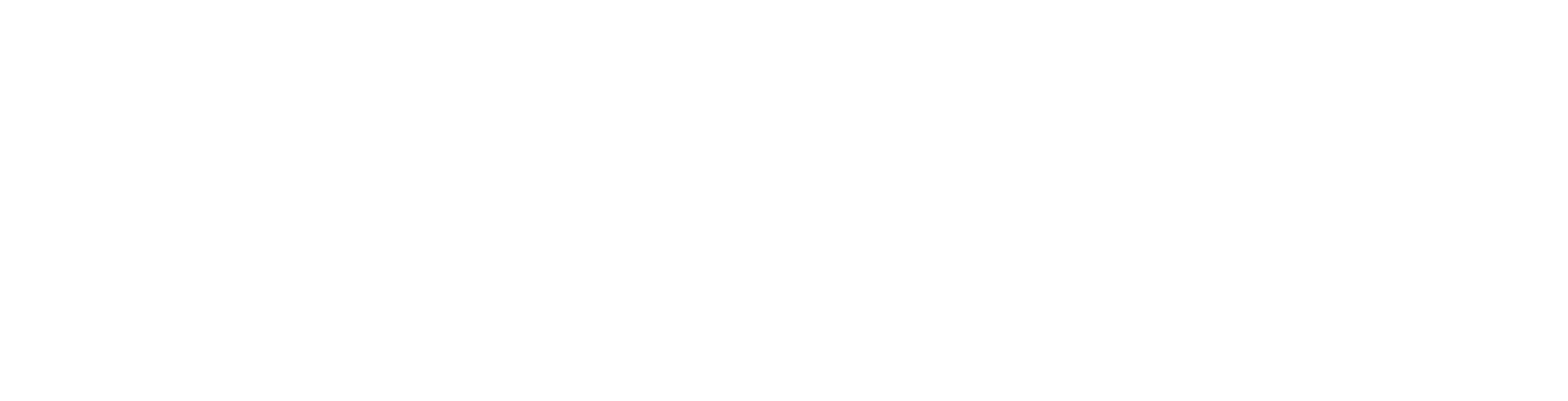 BASIC_logo_white@4x